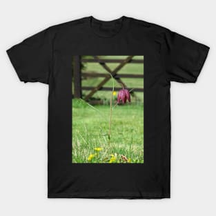 Lazarus Bell T-Shirt